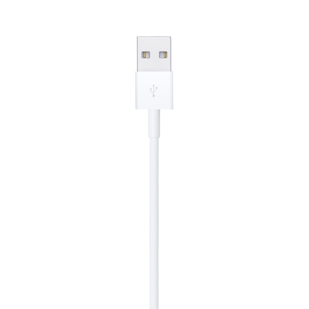 Apple Lightning to USB Cable (1 m)